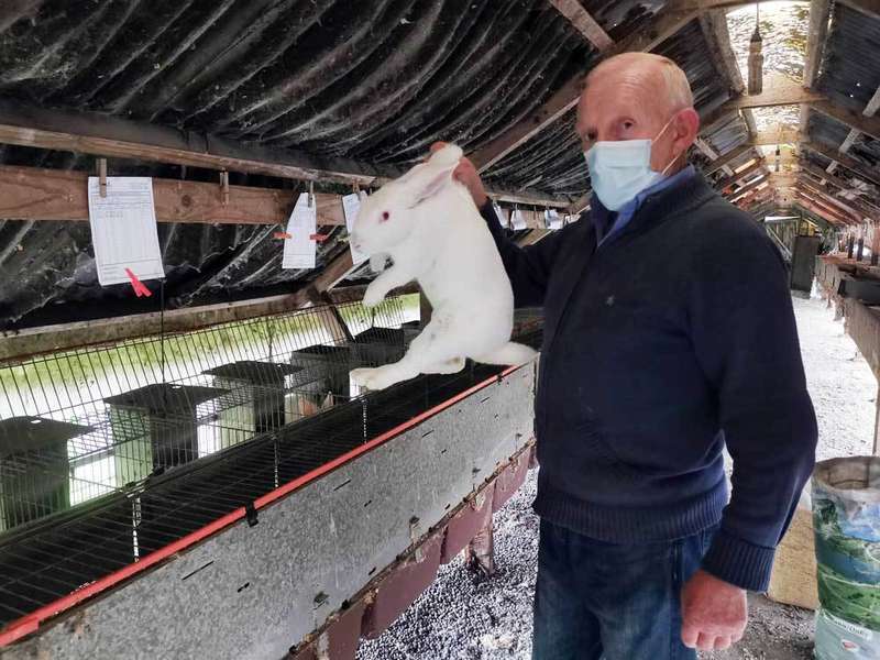 granja-conejos-villaviciosa-04