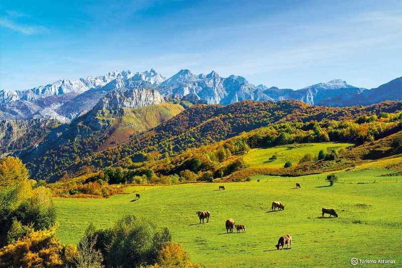 parque-natural-ponga