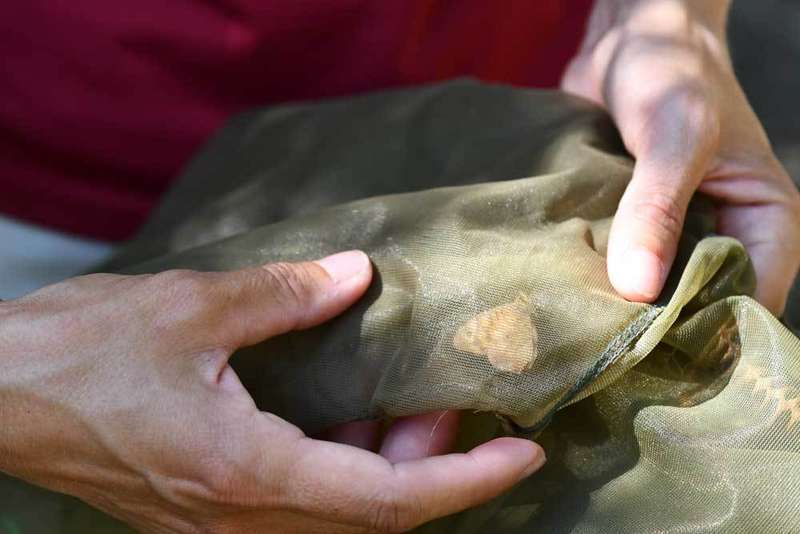 amparo-mora-biologa-01