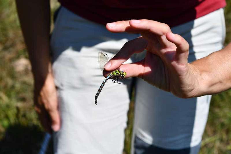 amparo-mora-biologa-08