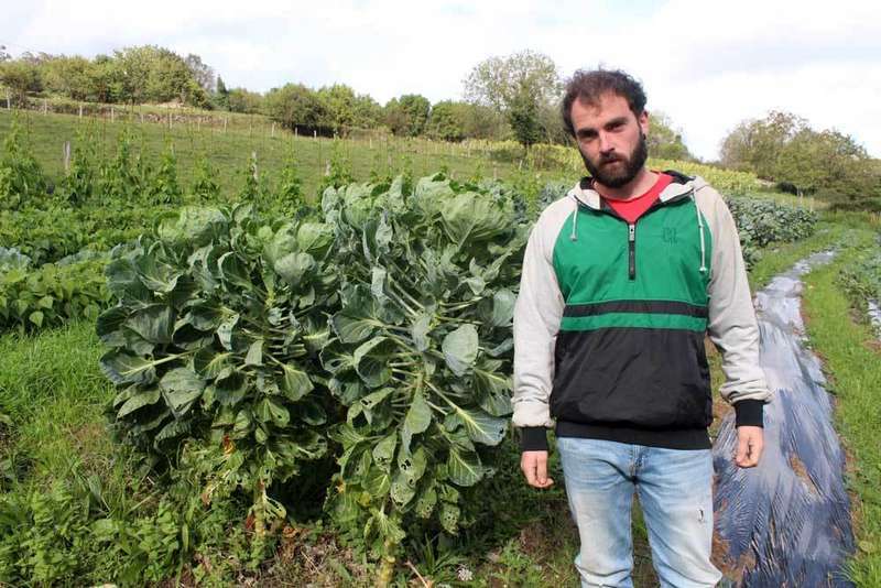 luis-alonso-huerta-piloña-01