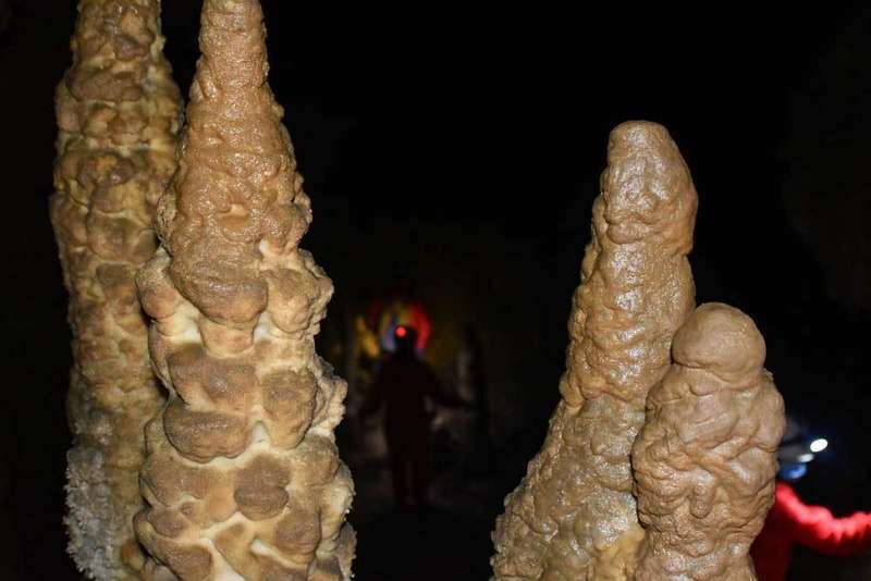 fauna-glacial-onis-04