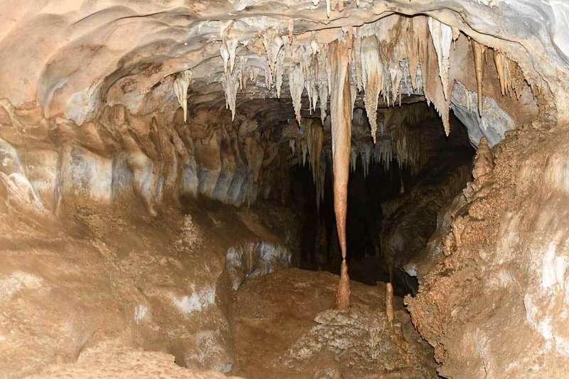 fauna-glacial-onis-05