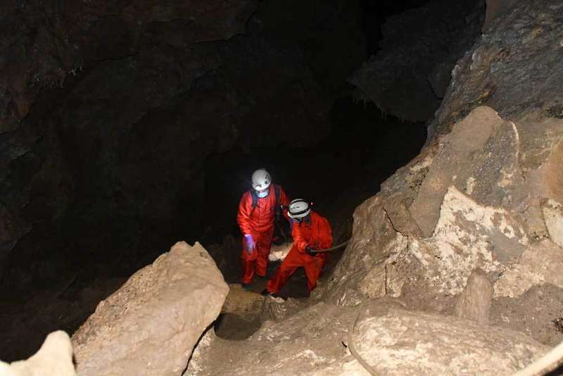 fauna-glacial-onis-08