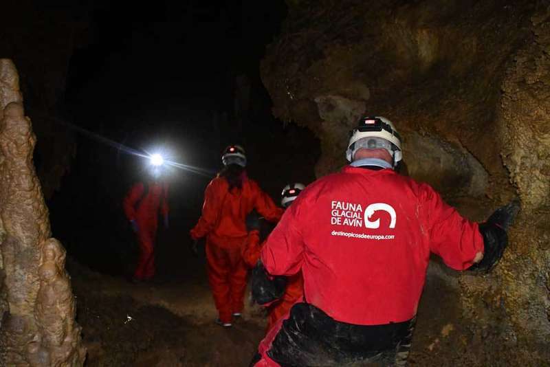 fauna-glacial-onis-15