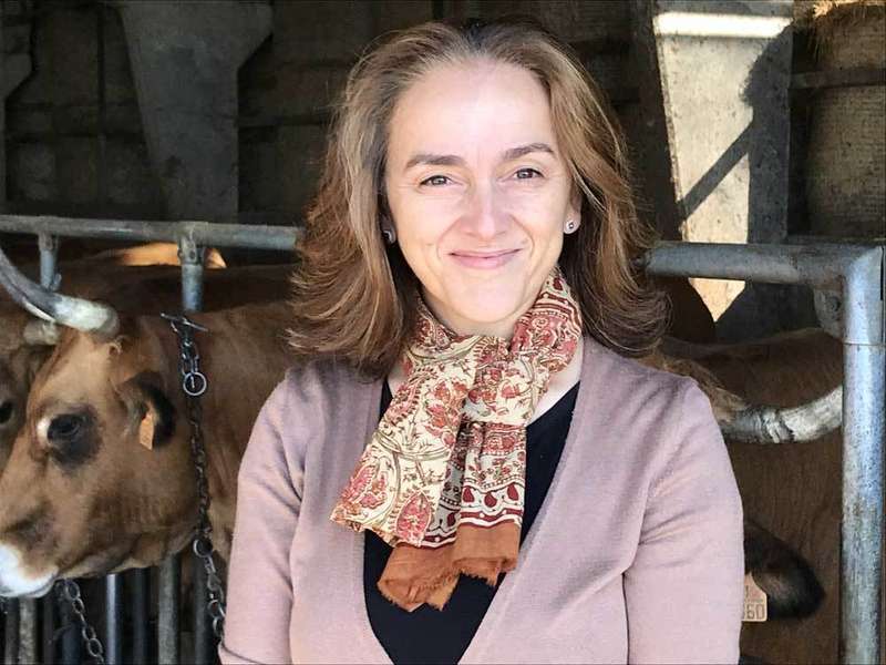 sila-aseava-bartuelo-01