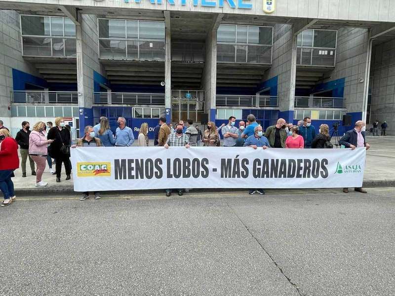 concentracion-caravana-lobo-oviedo