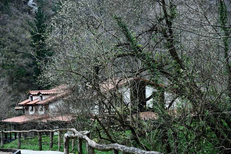 molin-mingo-todays Special-02