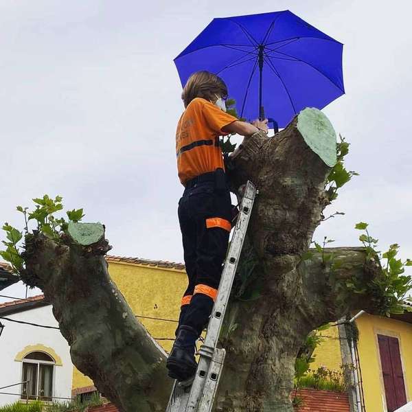 paraguas-arroz-con-leche