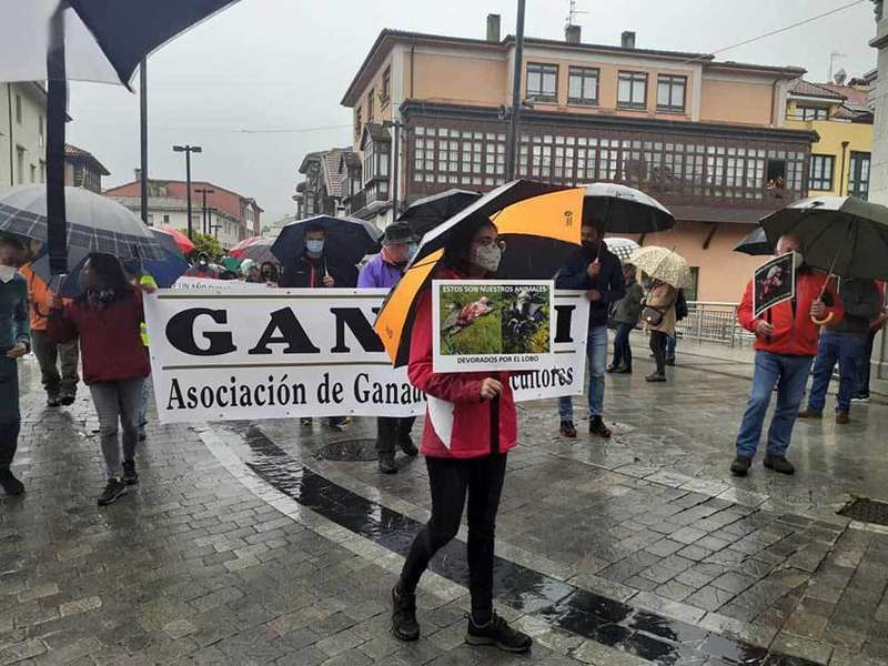 tractorada-llanes-01