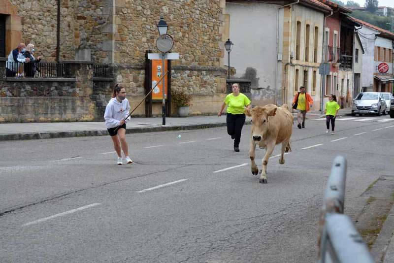 vacas-bimenes-penamayor-09