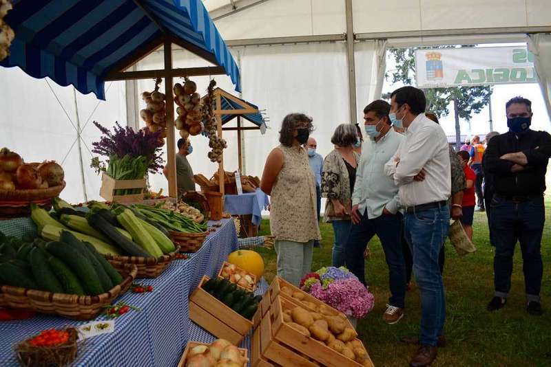 fapea-llanera-20201-04