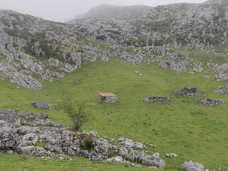 WhatsApp Image 2021-08-31 at 13.28.02