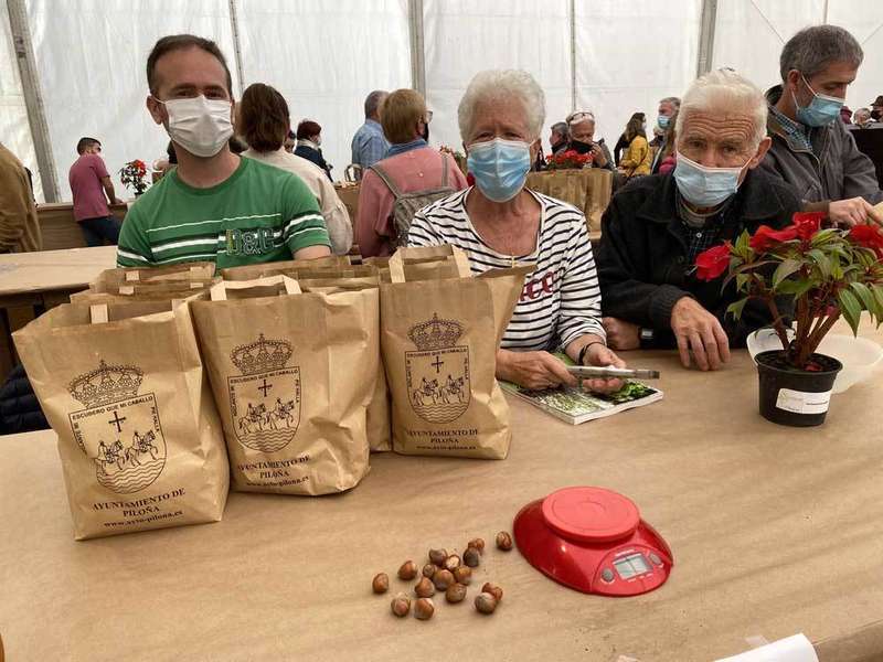 festival-avellana-infiesto-2021-10