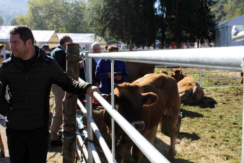 feria-santa-teresa-09