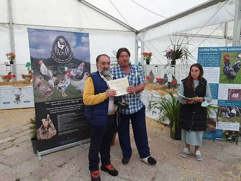 monografico-pita-infiest-02