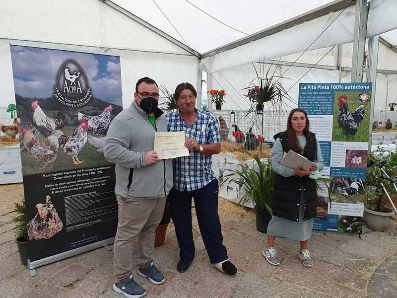 monografico-pita-infiest-05