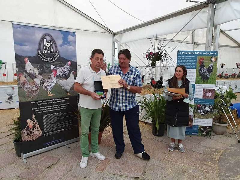 monografico-pita-infiest-07