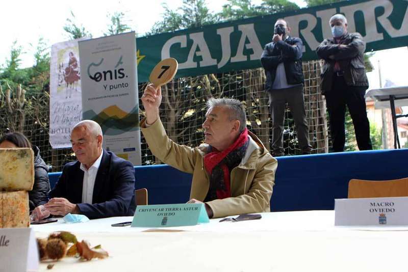 subasta-gamoneu-onis-tierra-astur