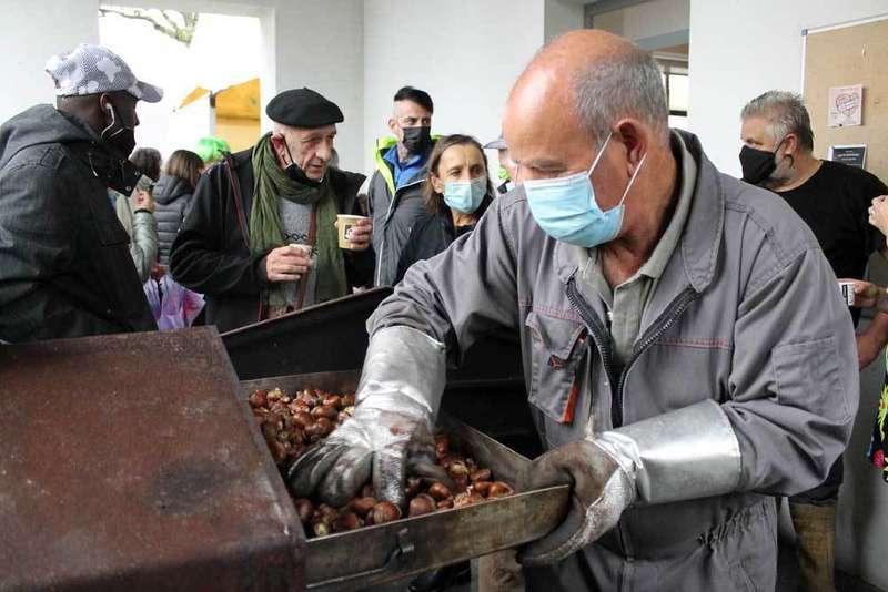 mercau-coya-otono-08