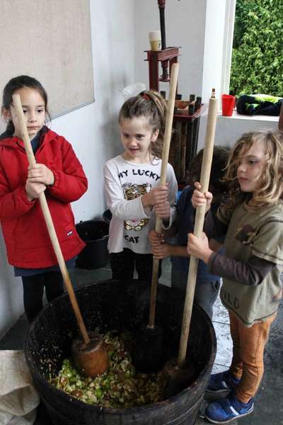 mercau-coya-otono-05