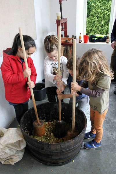 mercau-coya-otono-12