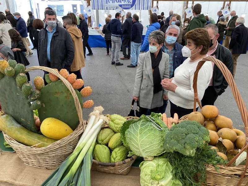 castana-arriondas-2021-03