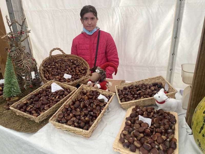 castana-arriondas-2021-10