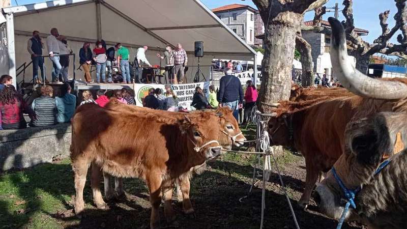 aseamo-raza-casina-porrua-01