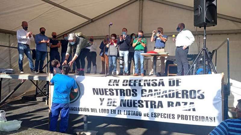 aseamo-raza-casina-porrua-08