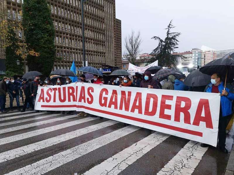gaanderos-oviedo-05