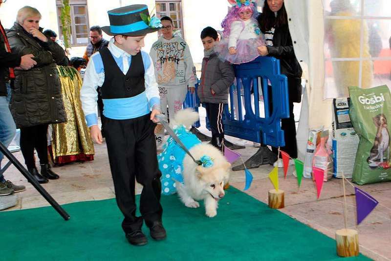 carnaval-mascotas-cangas-onis-28