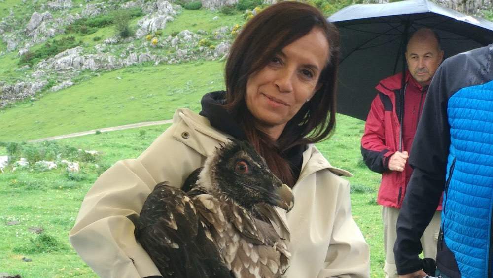 Beatriz Corredor, presidenta de Red Eléctrica, con una de las hembras de quebrantahuesos.
Imagen | Fundación para la Conservación del Quebrantahuesos