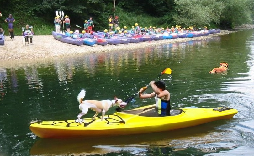 Descenso del sella con perro