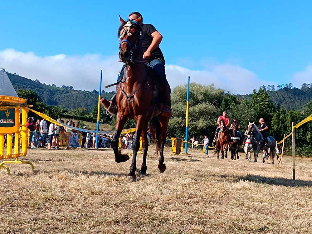 carrera-caballos-narzana-02