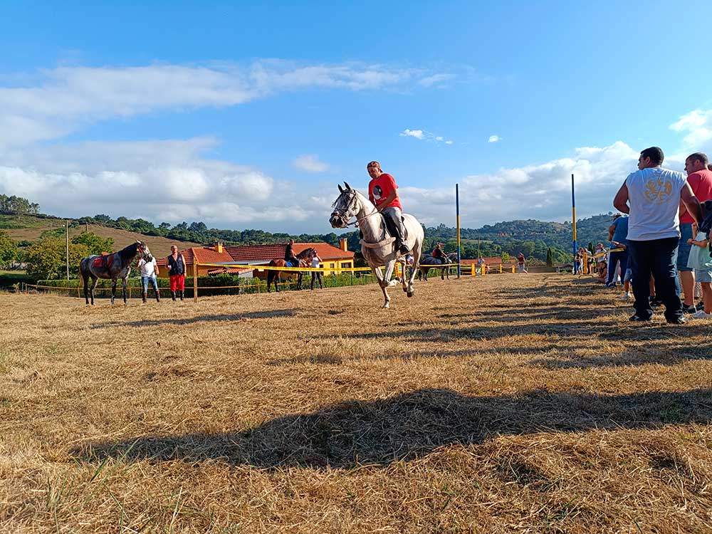 carrera-caballos-narzana-15