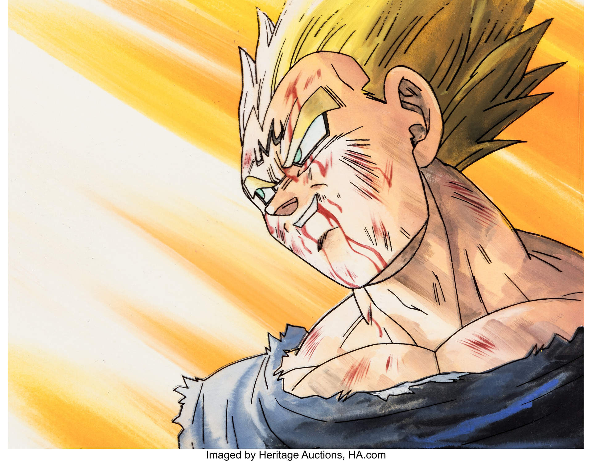 Dragon Ball Z Vegeta