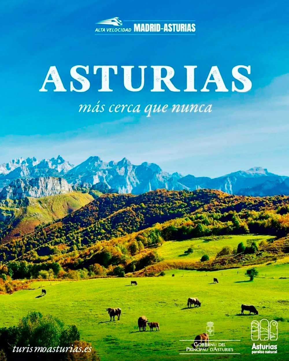 ponga-ave-madrid-oviedo