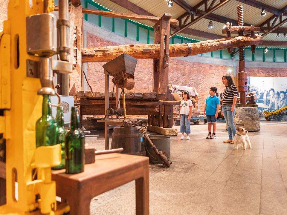 museo-sidra-nava-asturias-con-perro