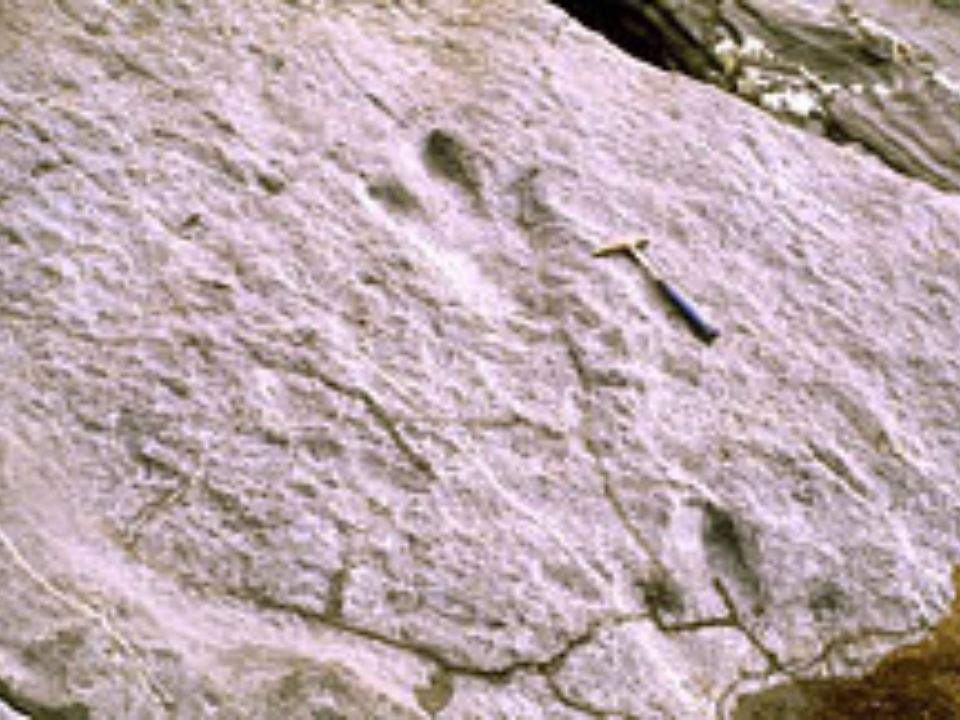 Yacimiento de Tereñes.
Ayuntamiento de Ribadesella