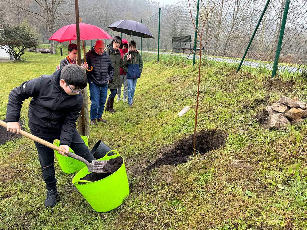 un-arbol-europa-arriondas-03