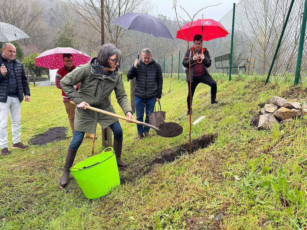 un-arbol-europa-arriondas-02