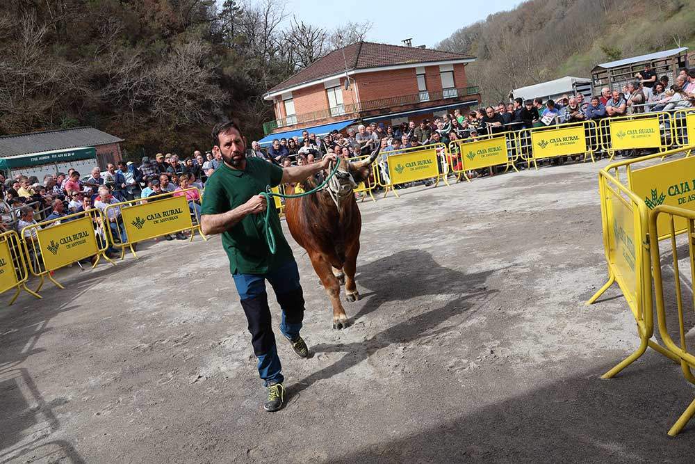 subasta-aseamo-2024-02