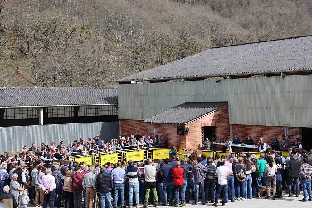 subasta-aseamo-2024-04