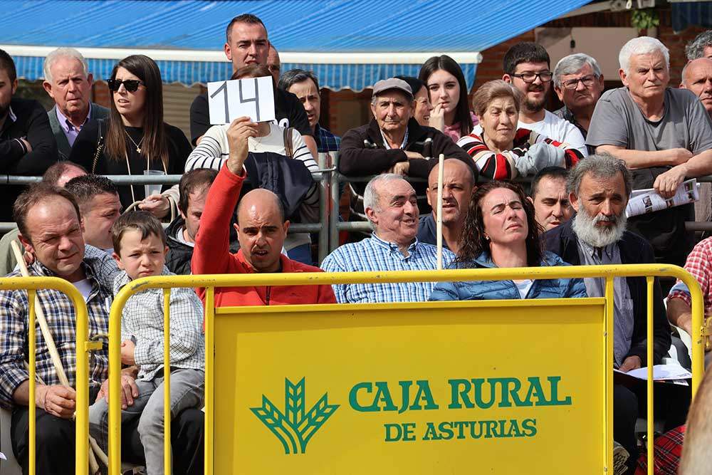 subasta-aseamo-2024-06