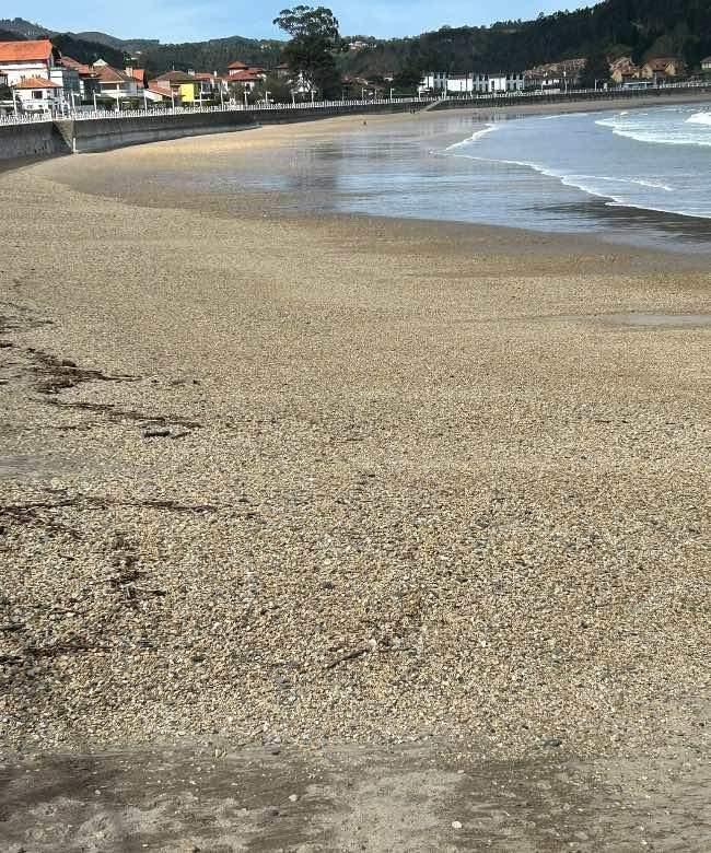 suspension-carreras-caballos-ribadesella