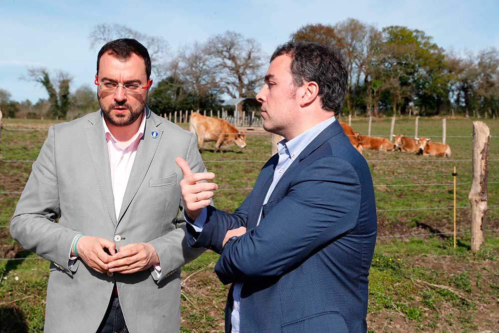 alimerka-ternera-villaviciosa-05