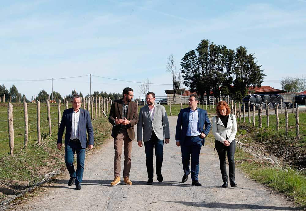 alimerka-ternera-villaviciosa-07