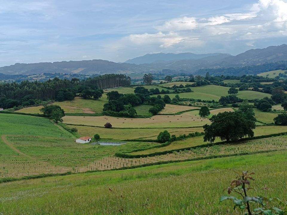 Vistas desde el Camino a Covadonga