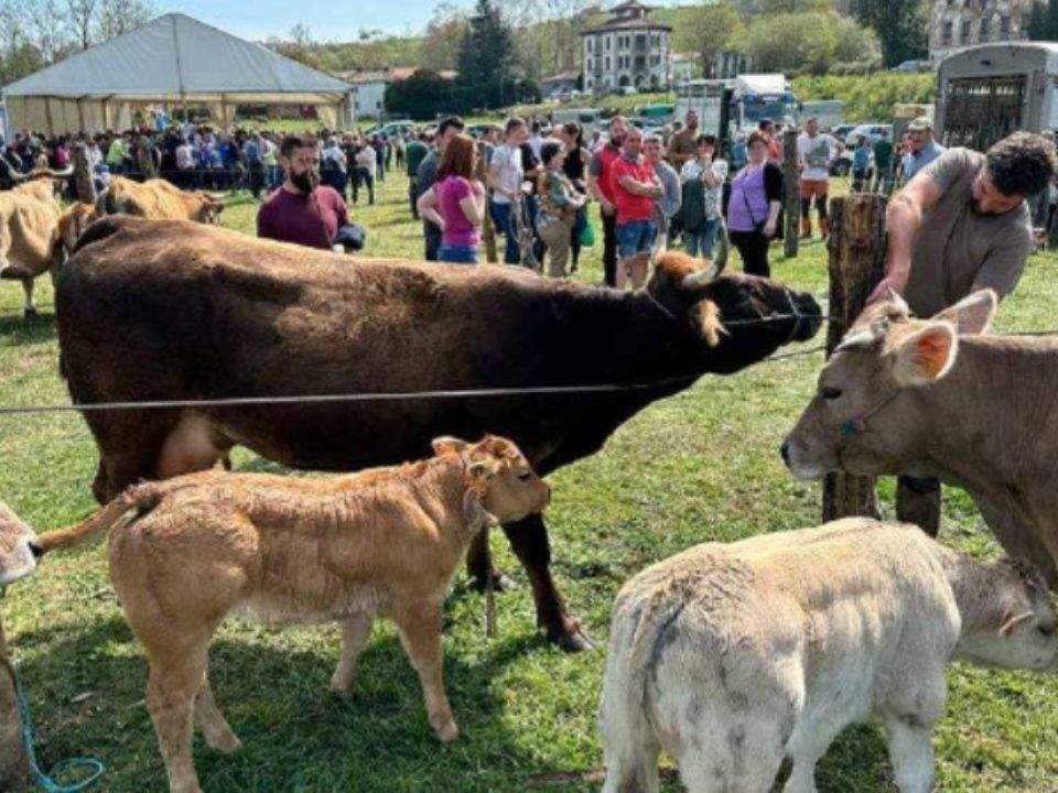 Feria ganadera 2023